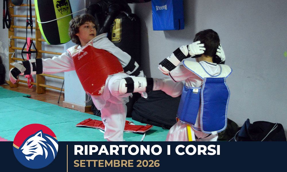 Potenza in Movimento: Taekwondo di Nuovo in Azione